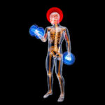 Förarbevis för vattenskoter – Så tar du körkortet